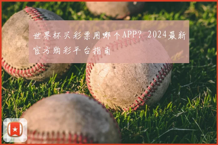 世界杯买彩票用哪个APP？2024最新官方购彩平台指南