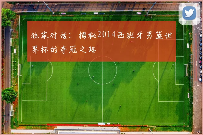 独家对话:揭秘2014西班牙男篮世界杯的夺冠之路
