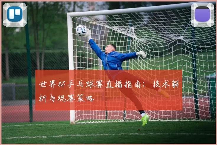世界杯乒乓球赛直播指南：技术解析与观赛策略