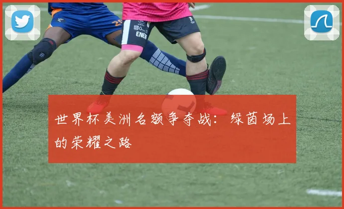 世界杯美洲名额争夺战:绿茵场上的荣耀之路