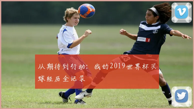 从期待到行动：我的2019世界杯买球经历全记录