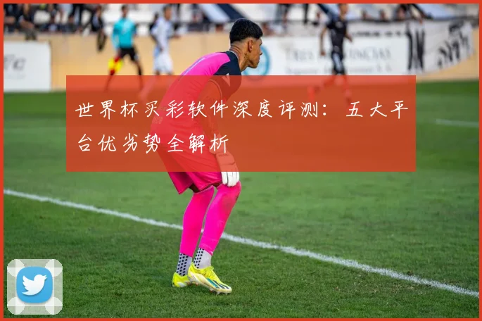 世界杯买彩软件深度评测：五大平台优劣势全解析