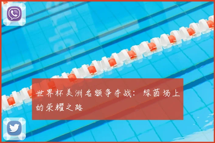 世界杯美洲名额争夺战:绿茵场上的荣耀之路
