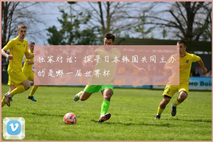 独家对话：探寻日本韩国共同主办的是哪一届世界杯